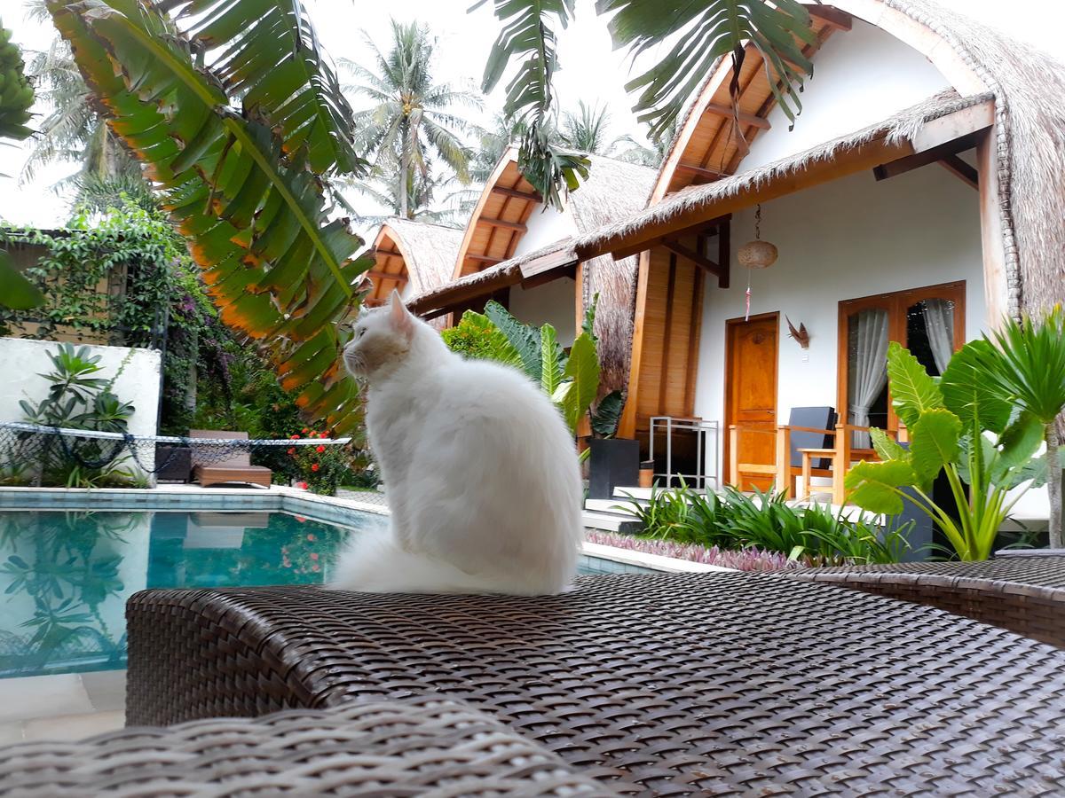 סנגיגי Teras Lombok Bungalow מראה חיצוני תמונה